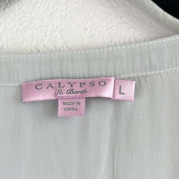 Calypso St. Barth Gray Semi-Sheer Long Sleeve V-Neck Popover Tunic Blouse Large - Picture 3 of 13